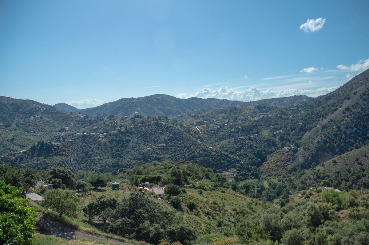 03 photo