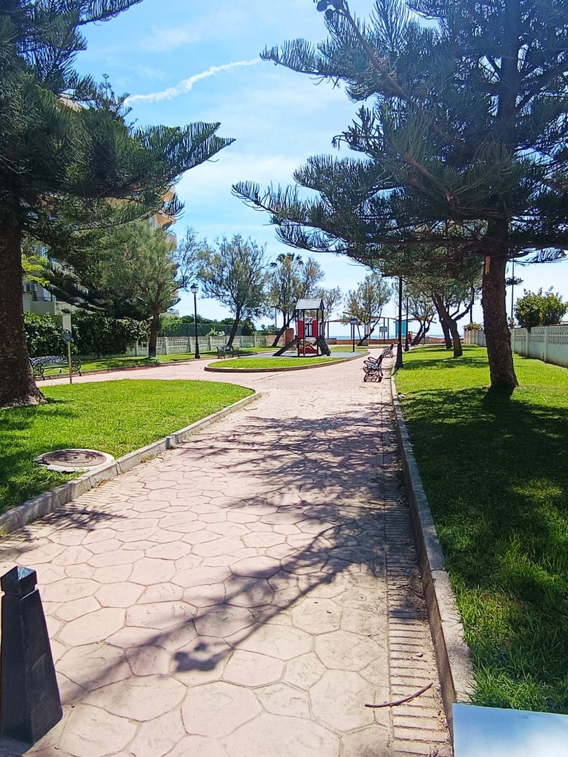 03 photo