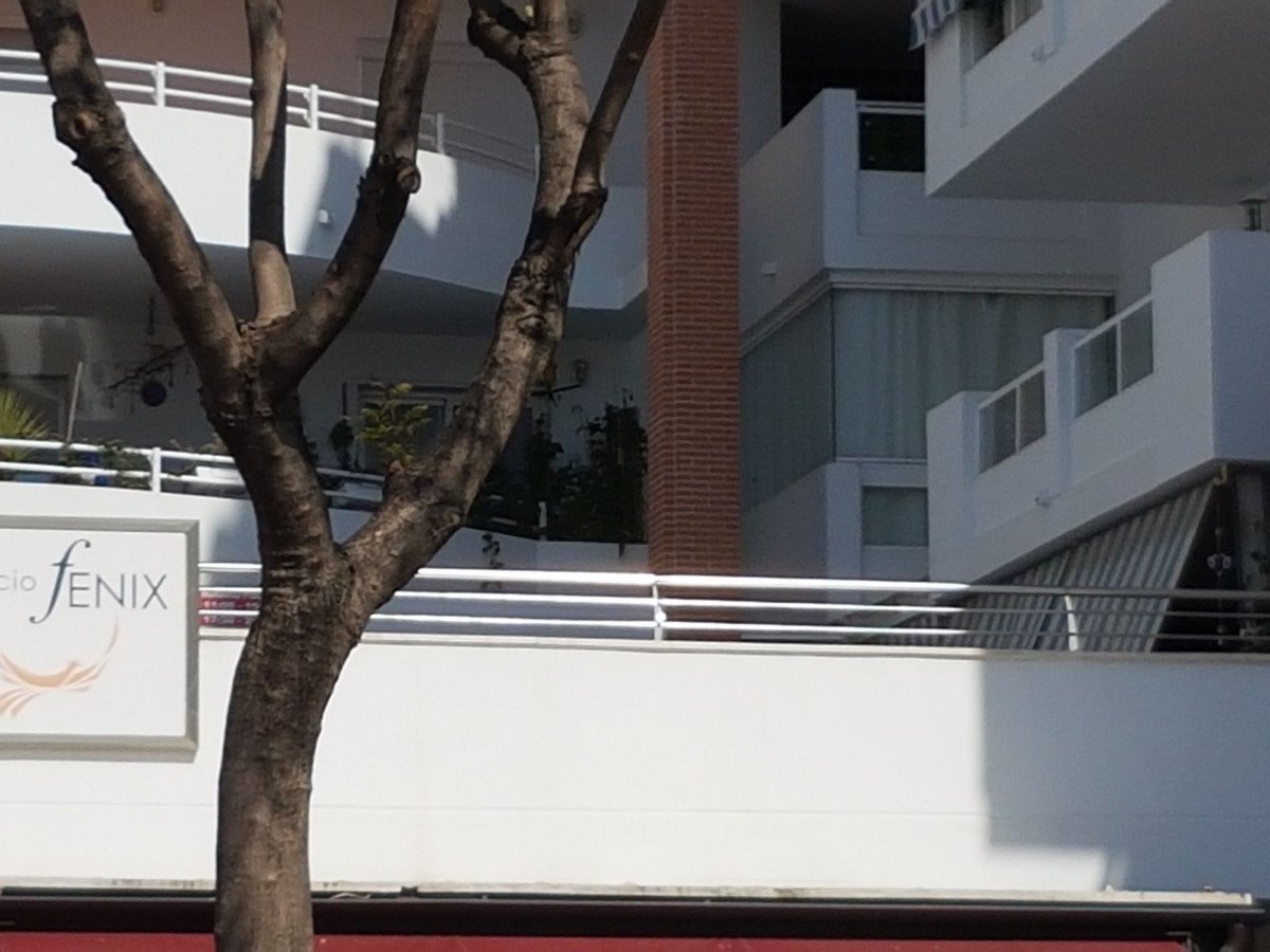 09 photo