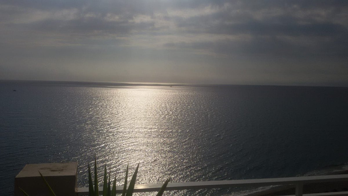 11 photo