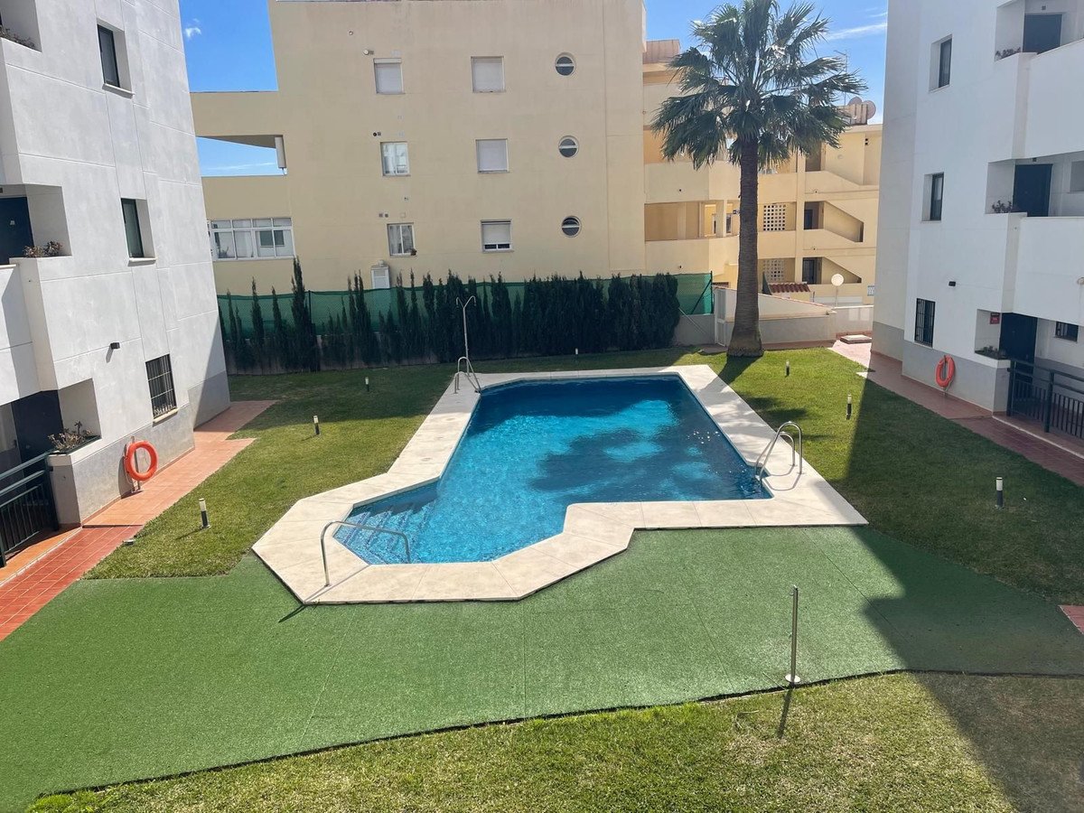 A bright outdoor communal area featuring a swimming pool surrounded by green grass and palm trees, with apartment buildings visible in the background.