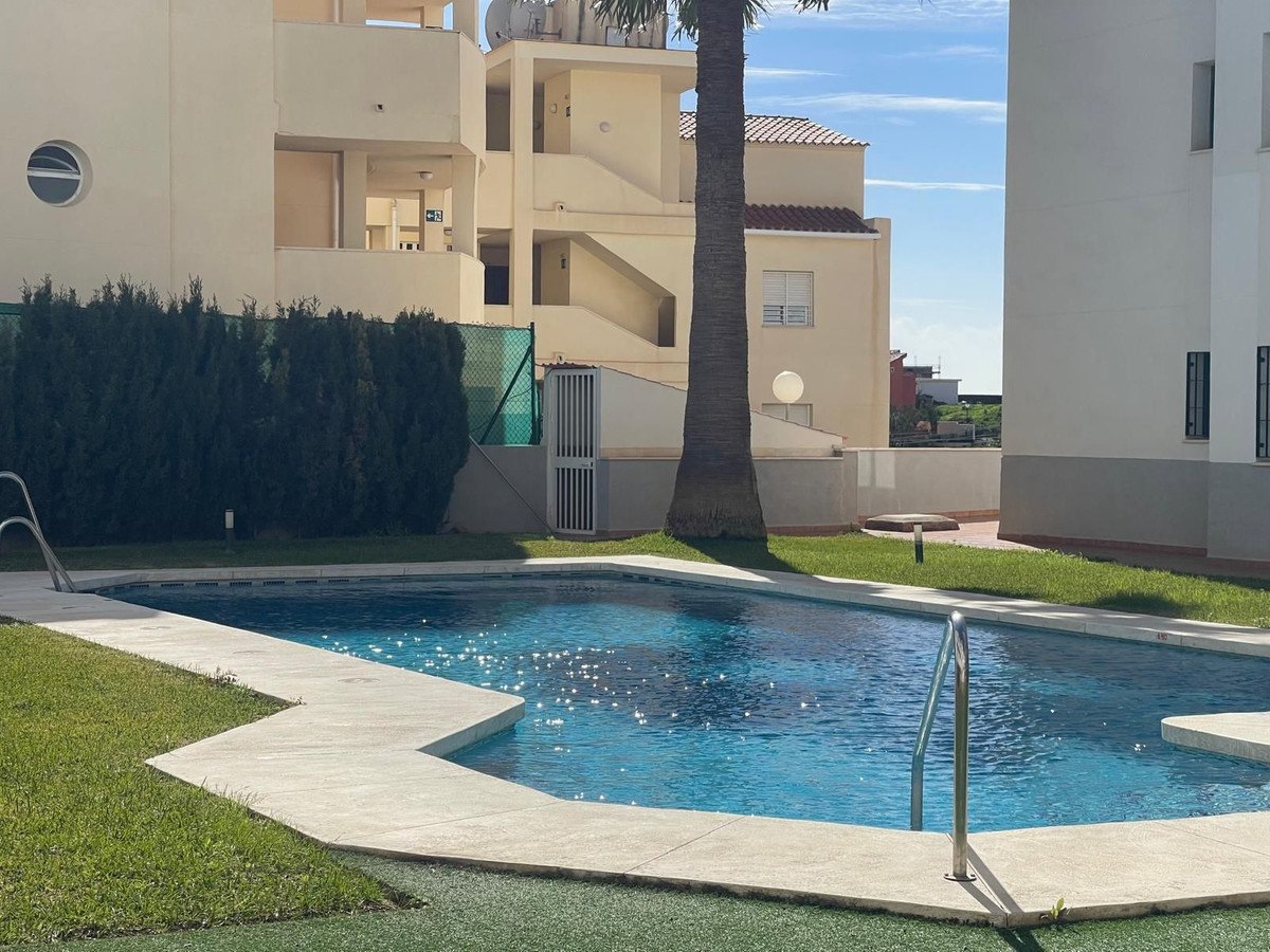 Outdoor swimming pool with palm tree and surrounding buildings. Perfect for relaxation and leisure.