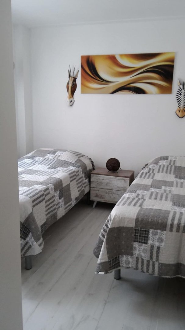 Two twin beds with patterned comforters, a nightstand, and animal-themed wall art in a bright bedroom.
