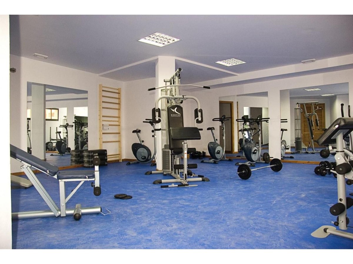 Modern gym with blue carpet, mirrors, and various exercise equipment.