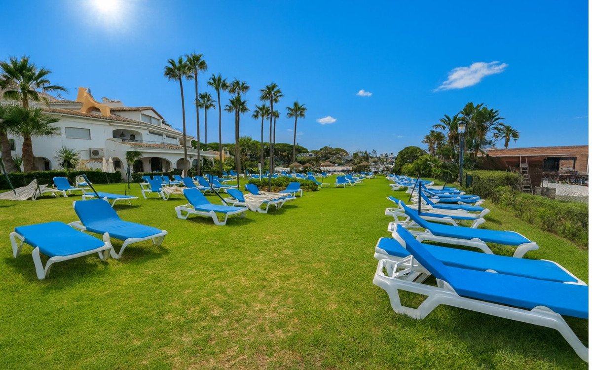 Outdoor resort lawn with blue sunbeds, palm trees, and sunny sky