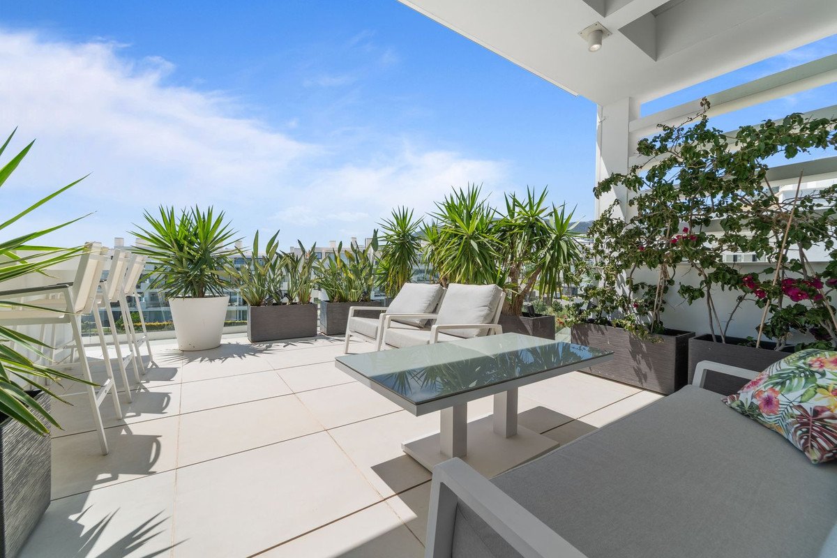 Spacious terrace with seating area, coffee table, and tropical plants offering a sea view under a clear blue sky.