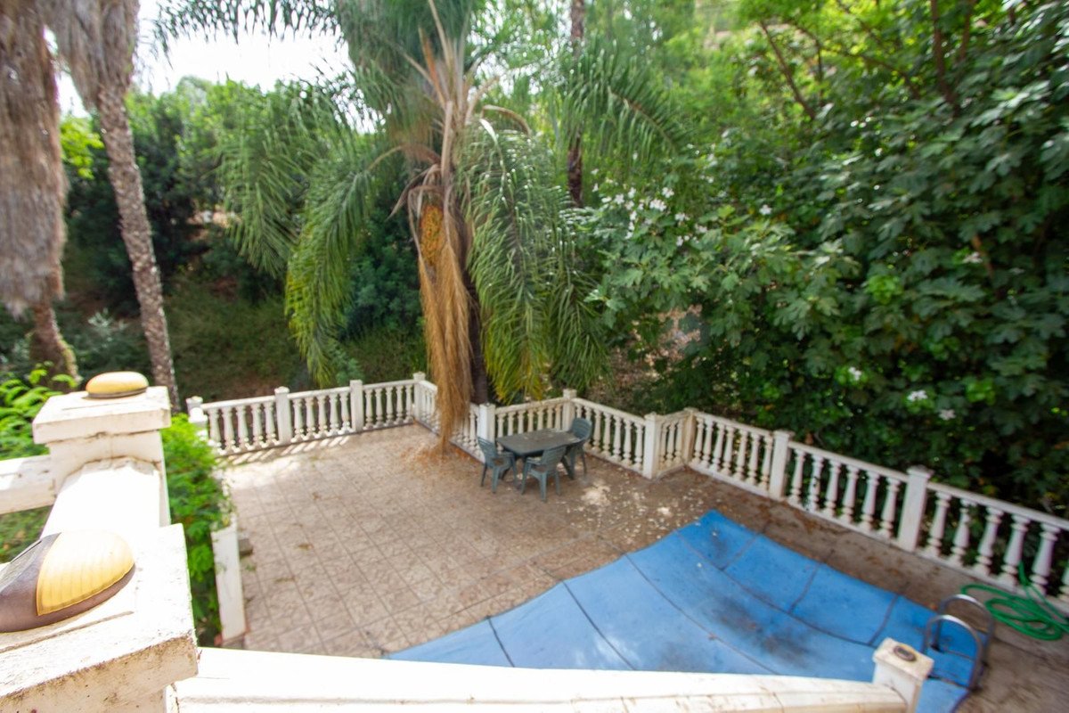 05 photo