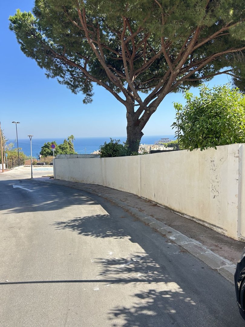 A tree-lined road curves towards a building with a distant view of the blue sea and clear sky.