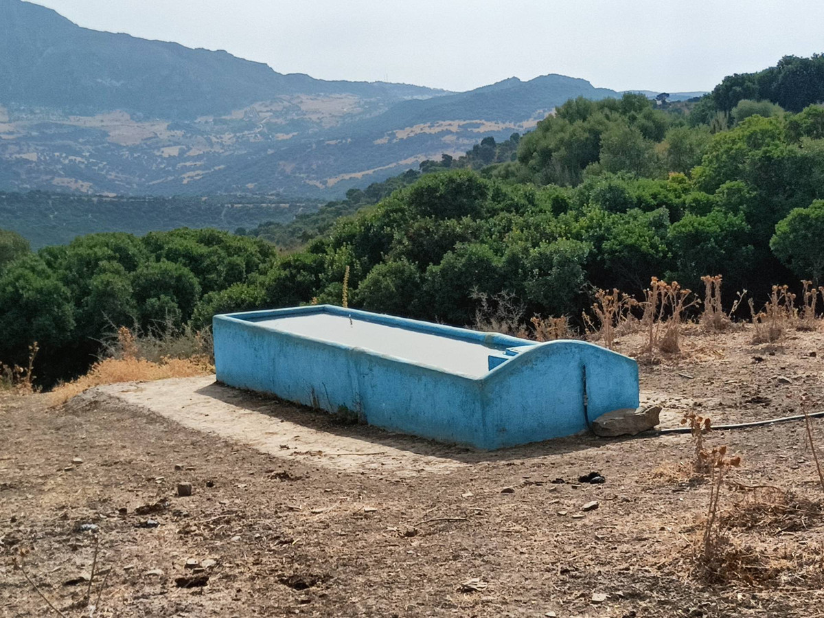 Farm in Gaucín في Gaucín — مزرعة