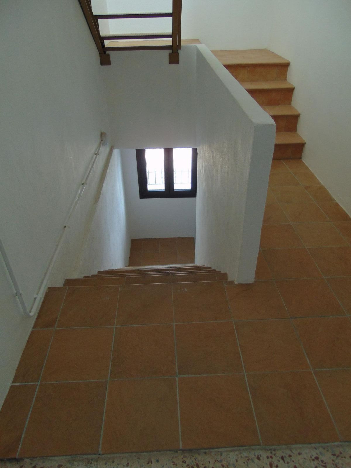 05 photo