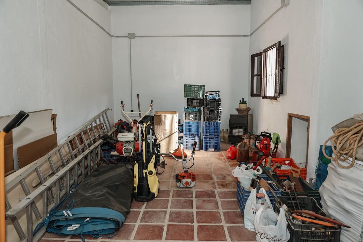 04 photo