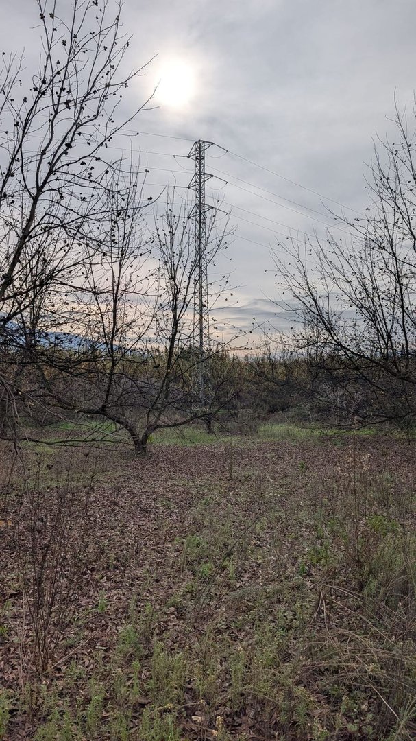 03 photo
