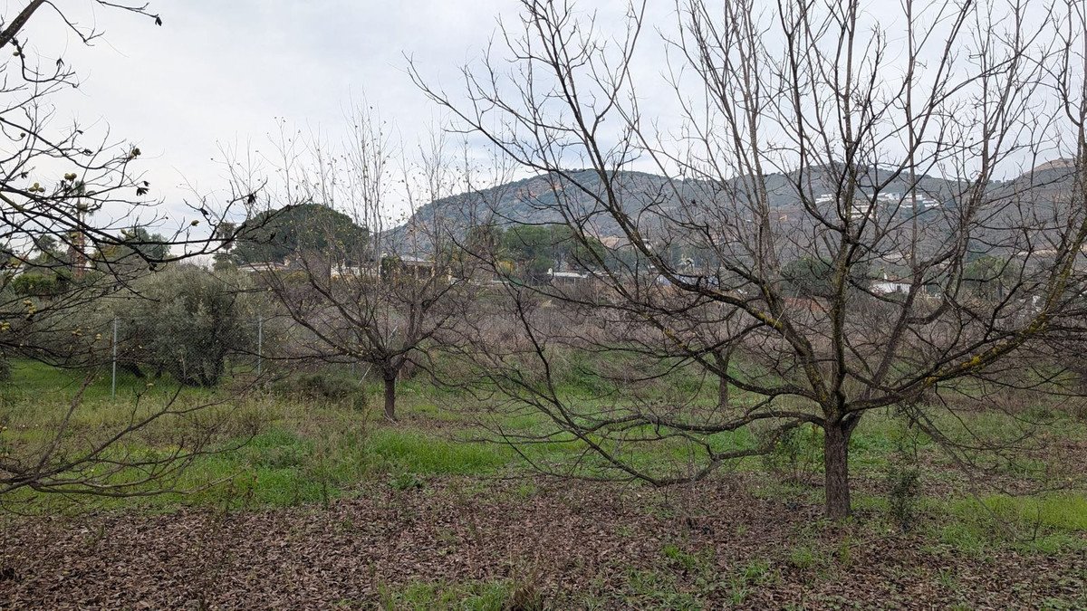 04 photo