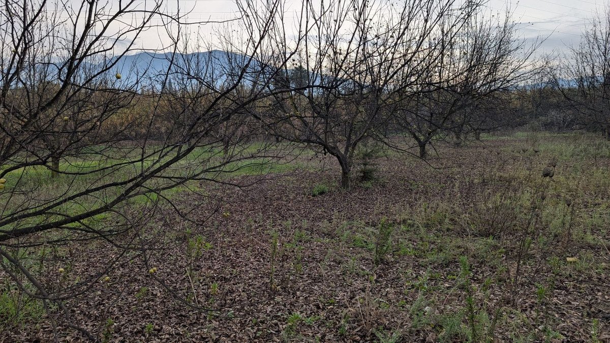 05 photo