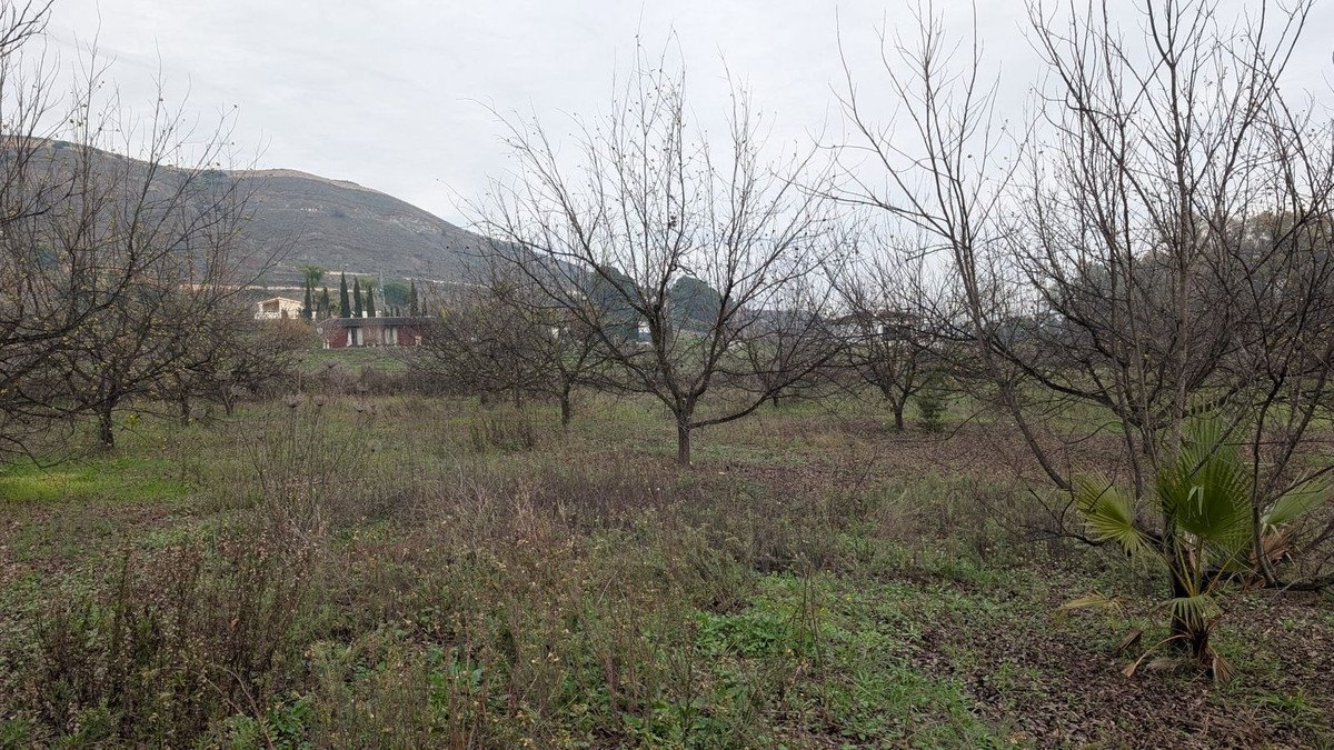 07 photo