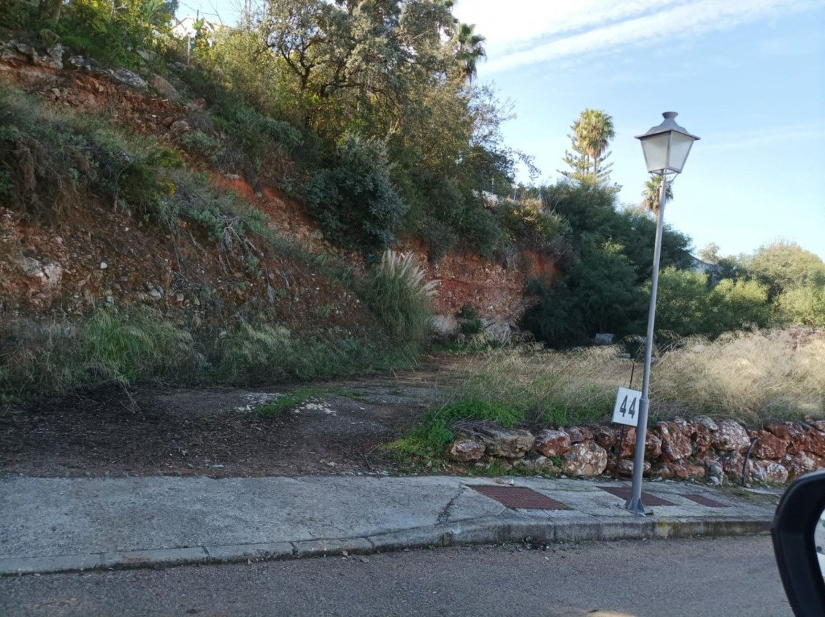 07 photo