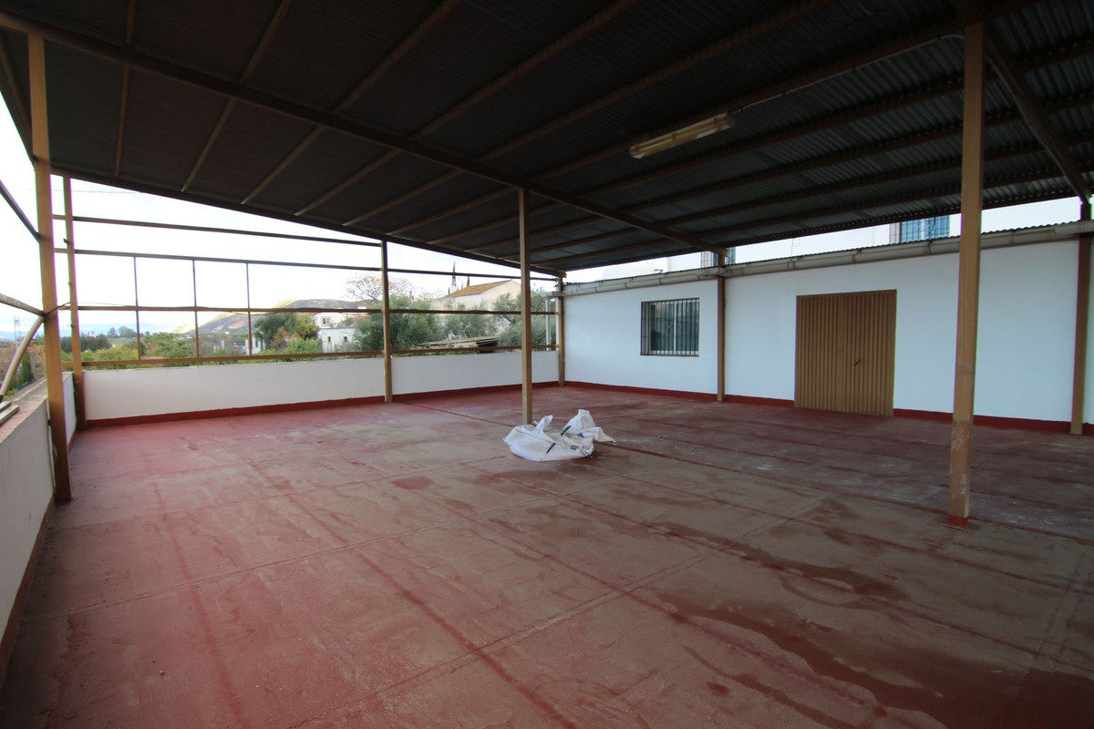 05 photo