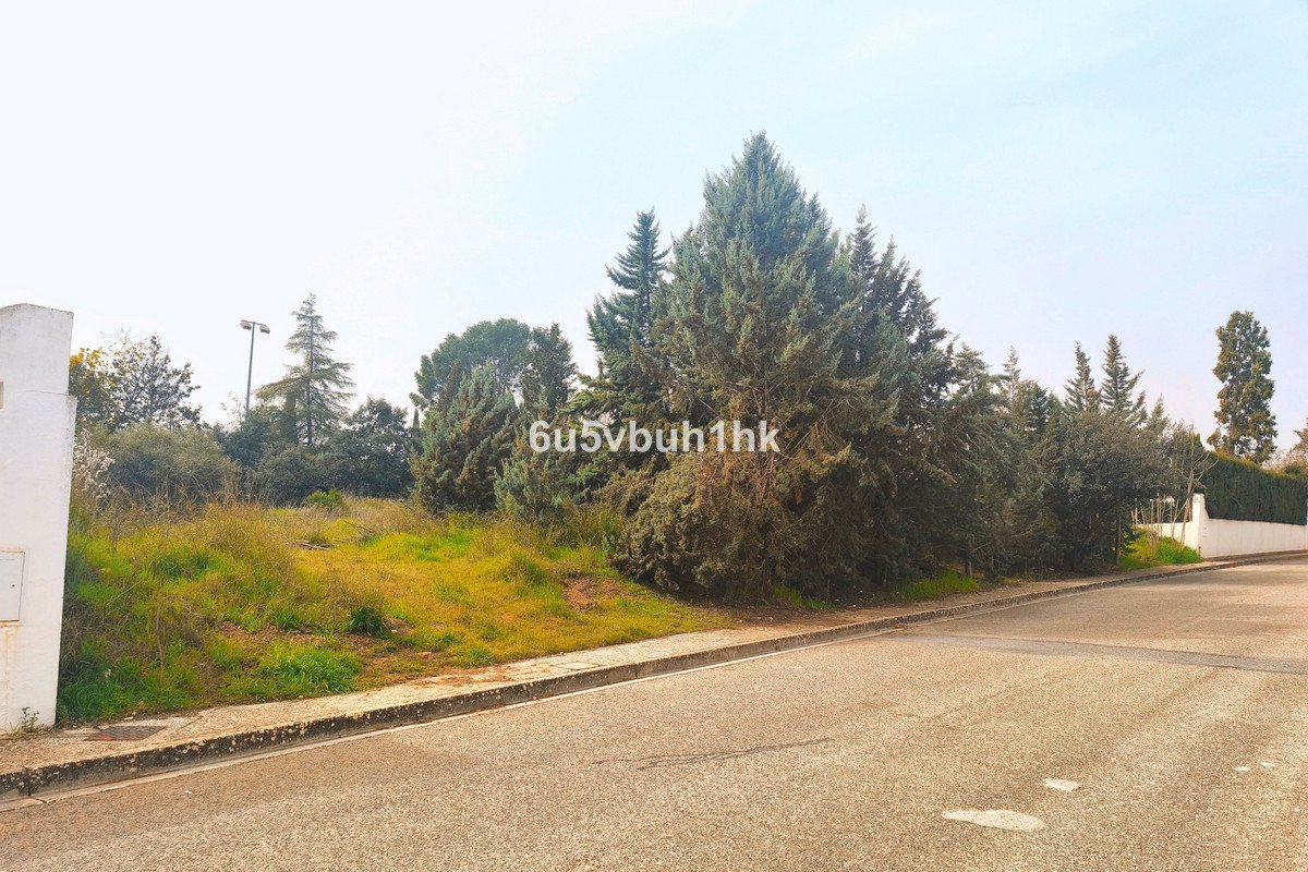 06 photo