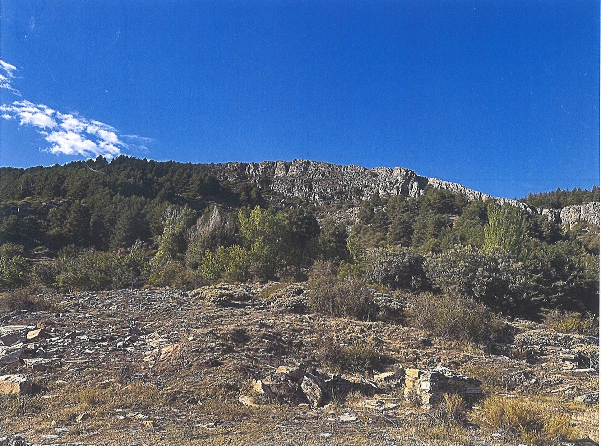 06 photo
