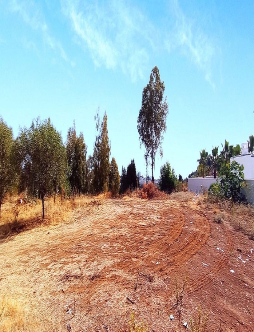 02 photo