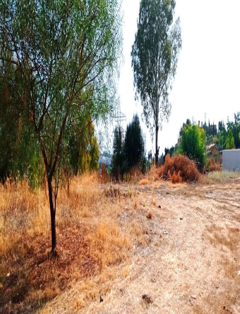 04 photo
