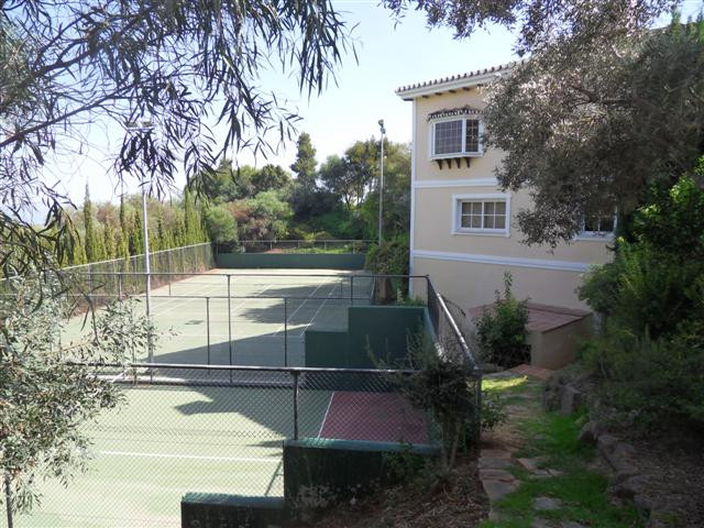 07 photo