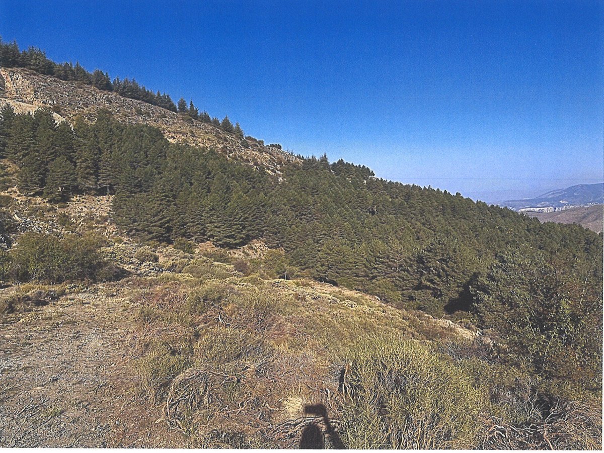 04 photo