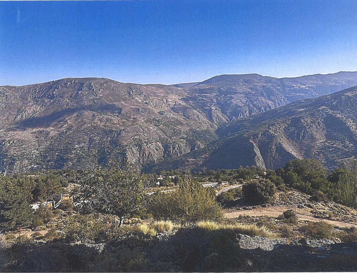 07 photo