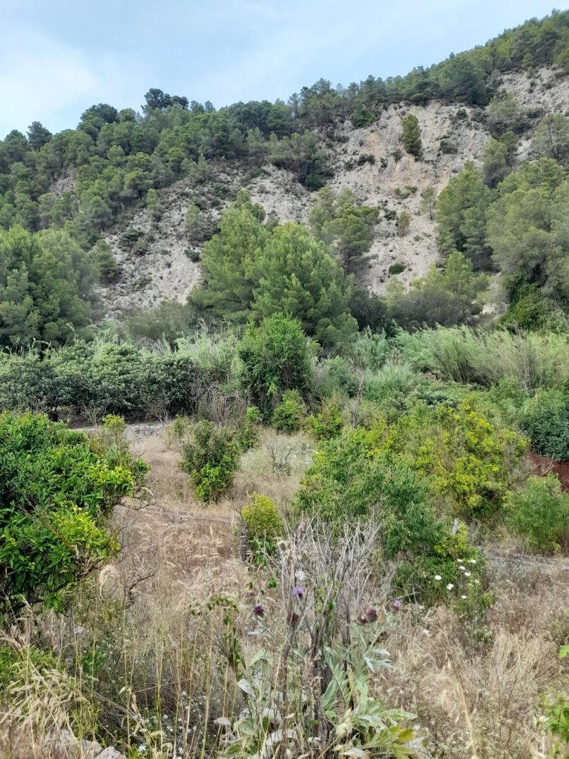 14 photo