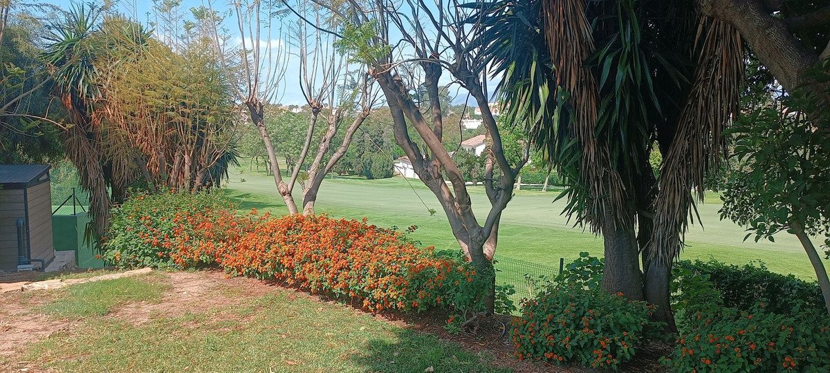 02 photo