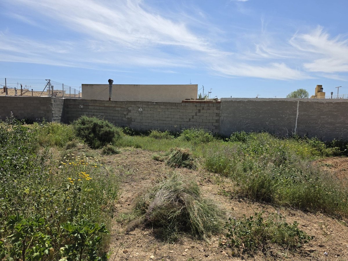 04 photo