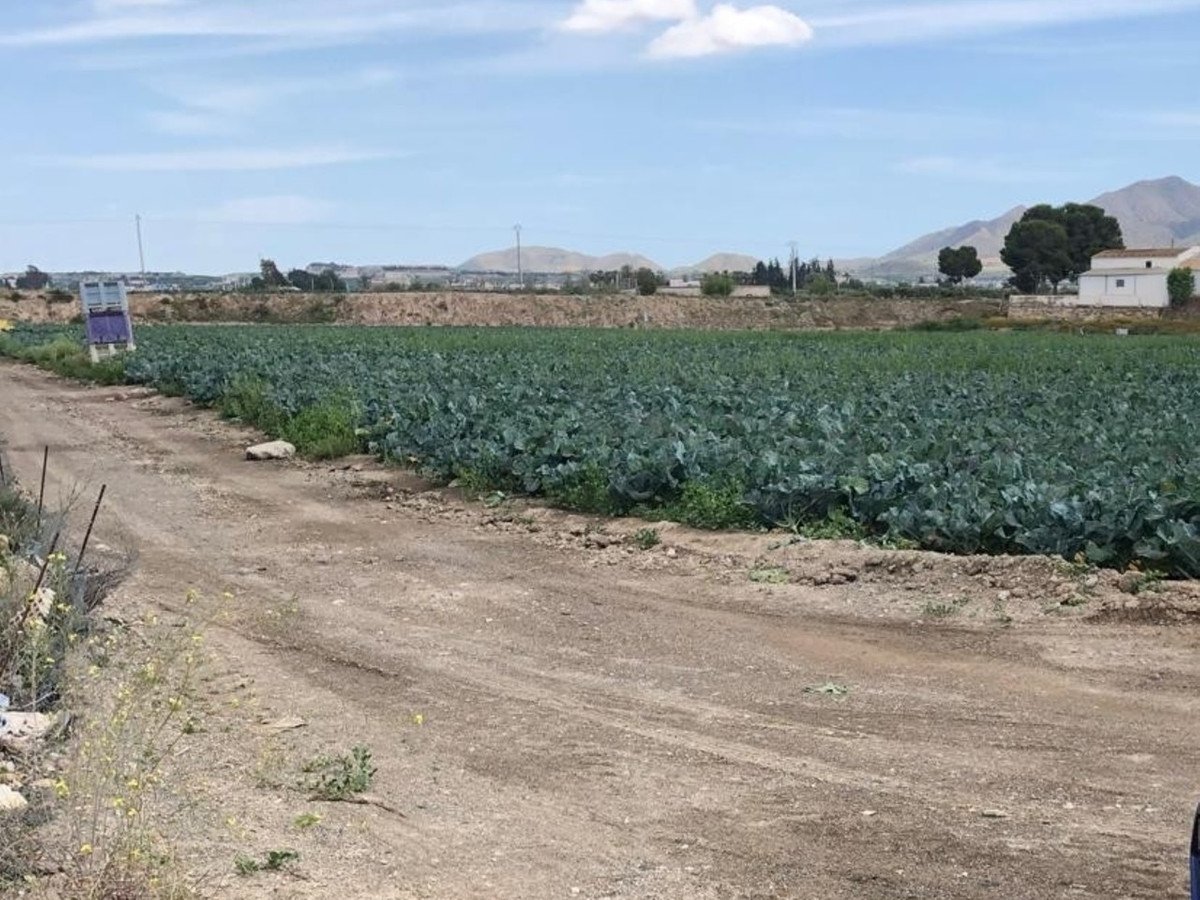 Land in Huércal-Overa in Huércal-Overa, 