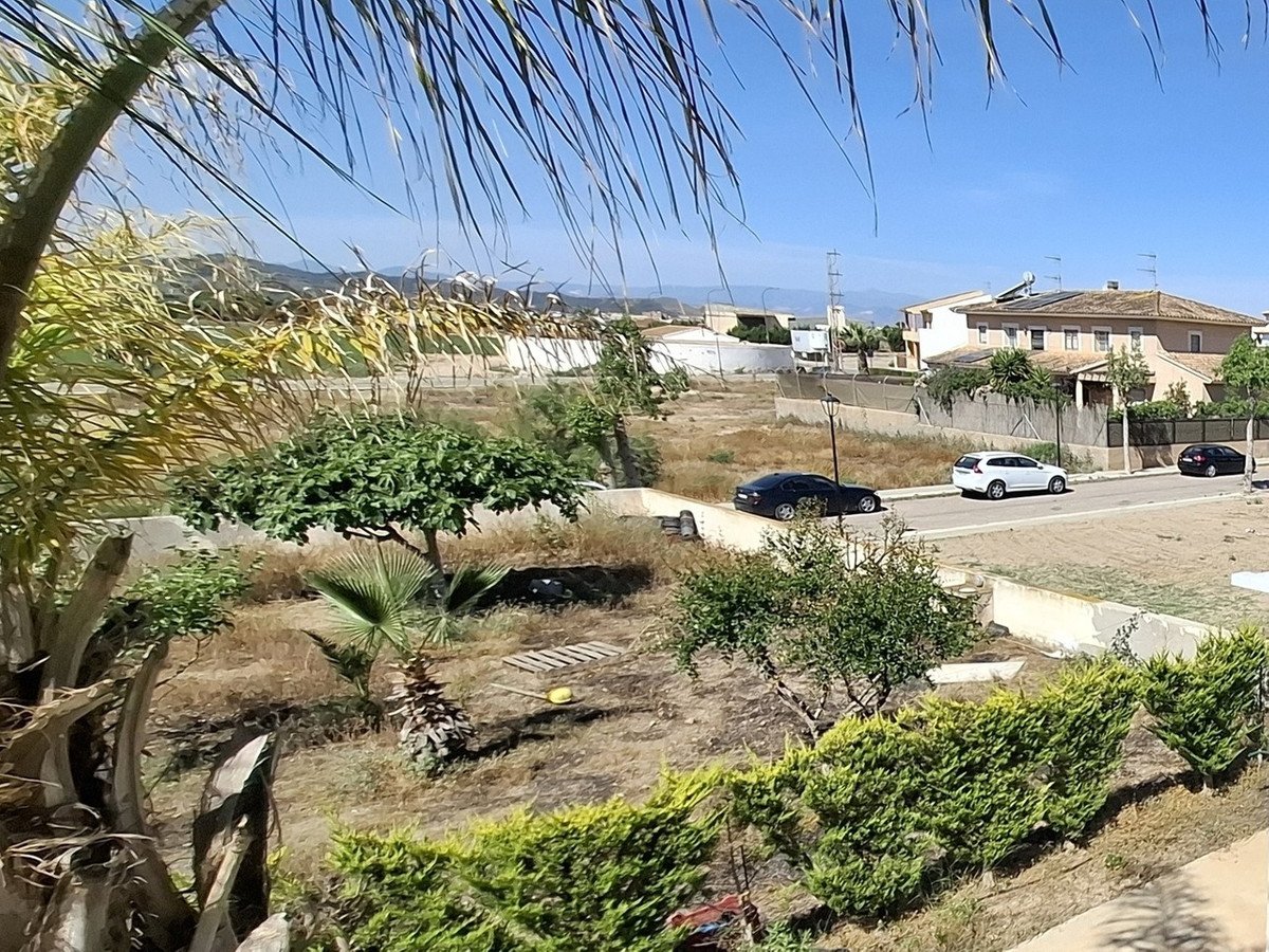 03 photo