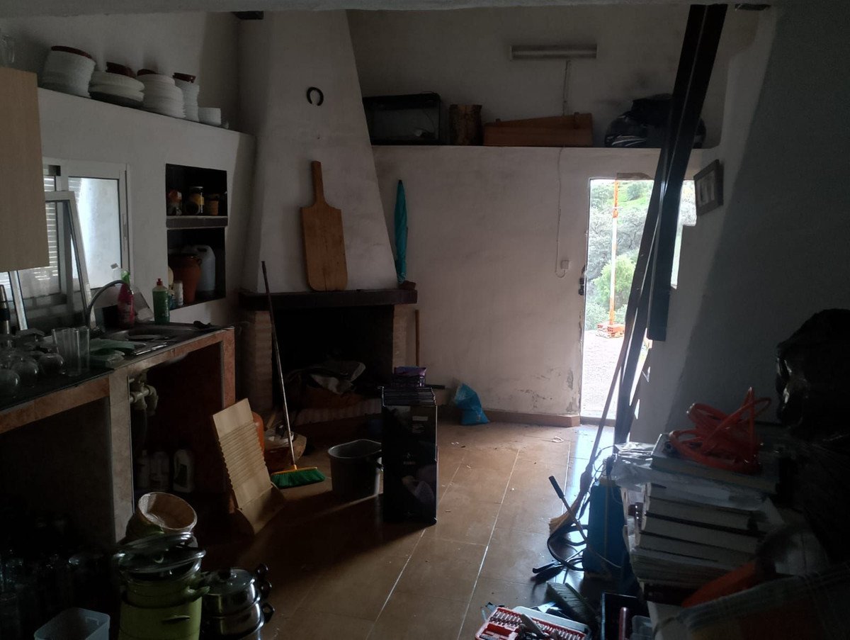 04 photo