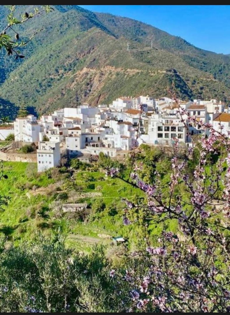 4 Bed بيت مدينة in Istán في Istán, تاون هاوس