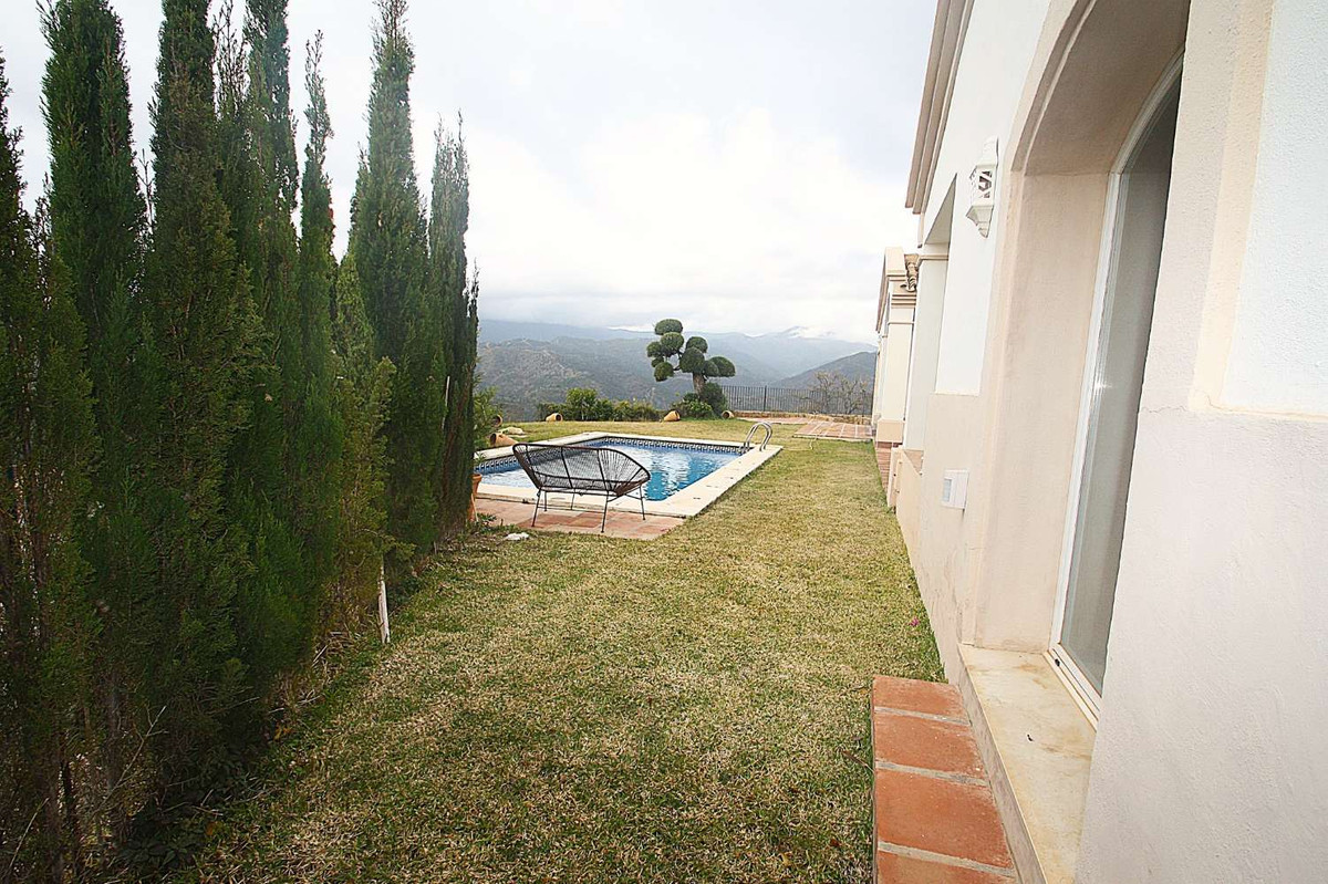 20 photo