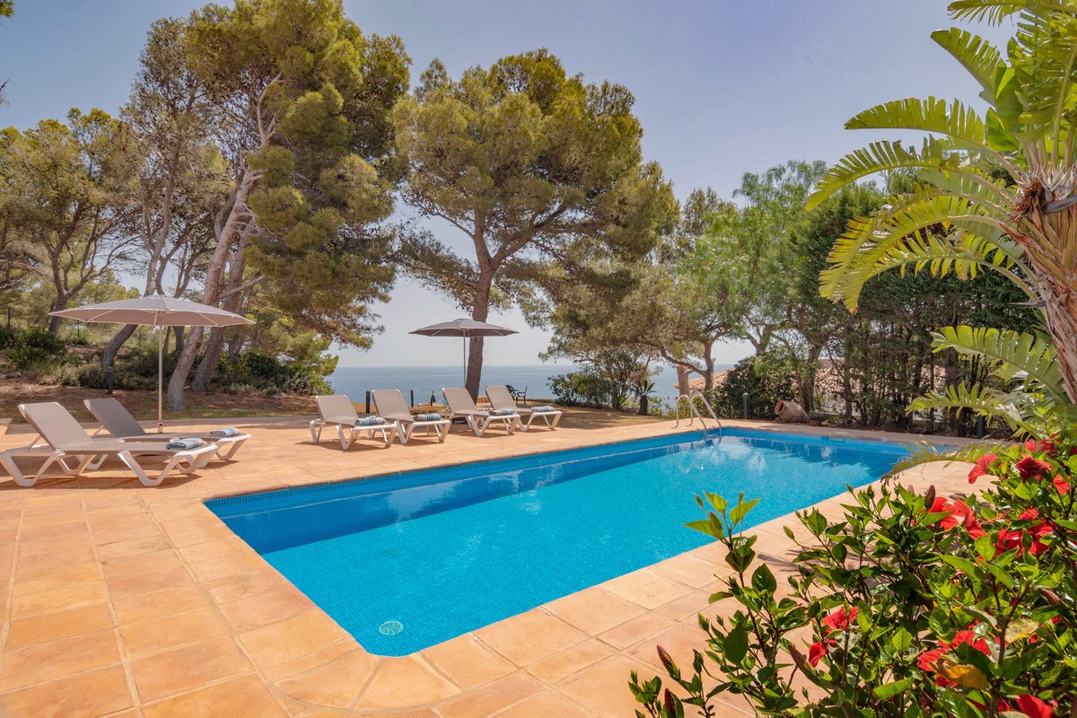 An outdoor swimming pool with lounge chairs and umbrellas, offering a scenic sea view amidst lush trees.