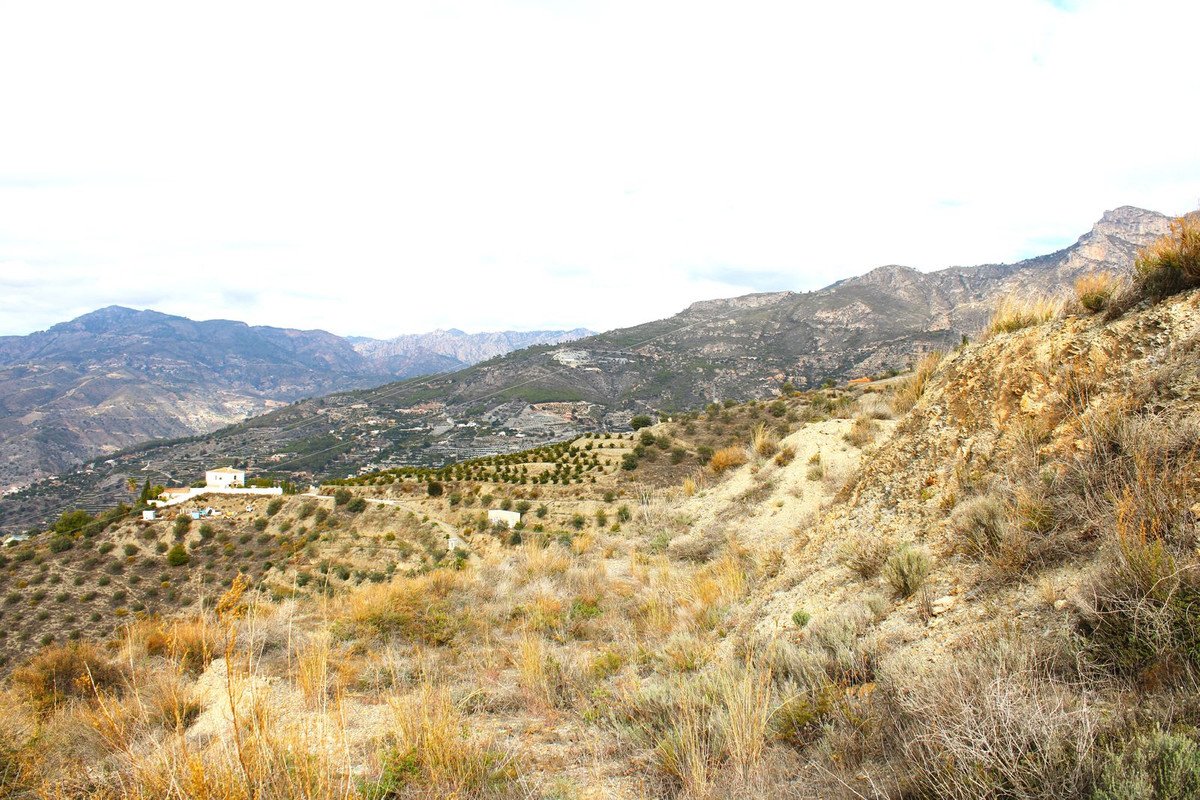 03 photo