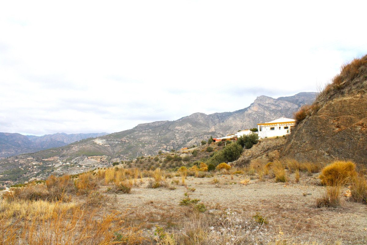 05 photo