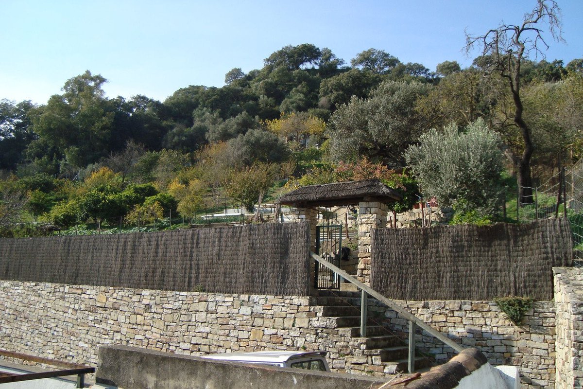 03 photo