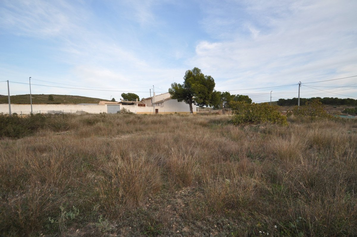 03 photo