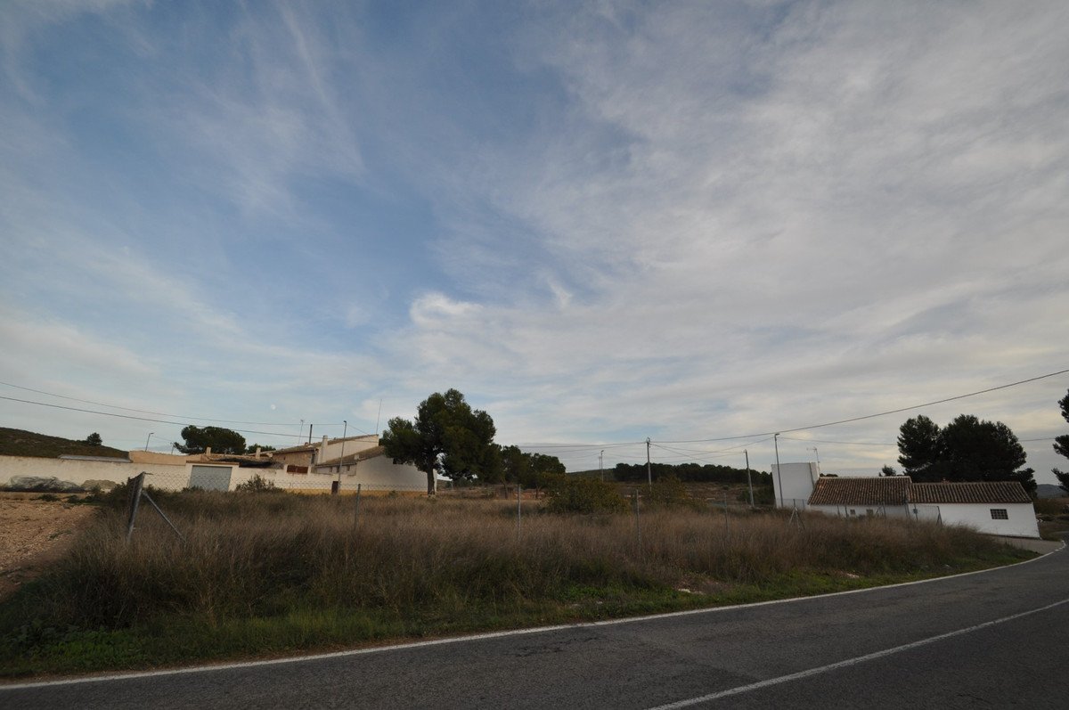04 photo