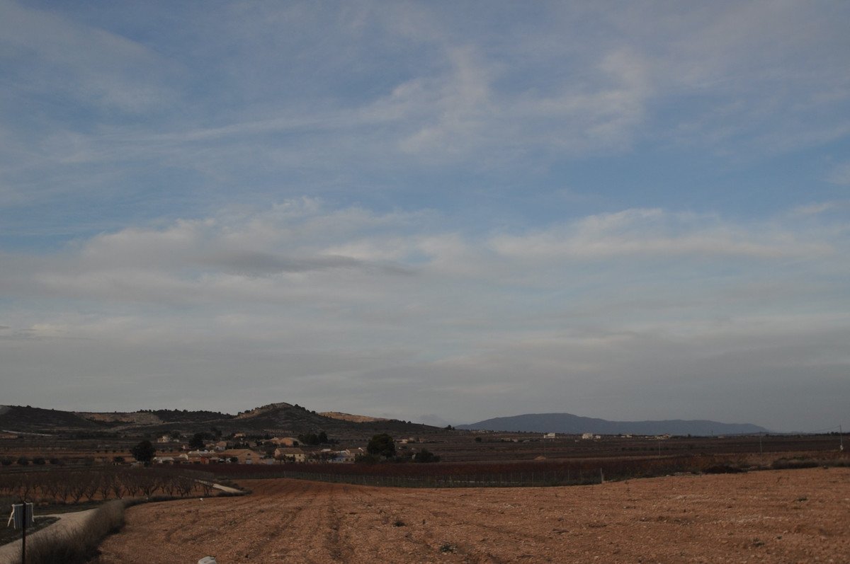 03 photo