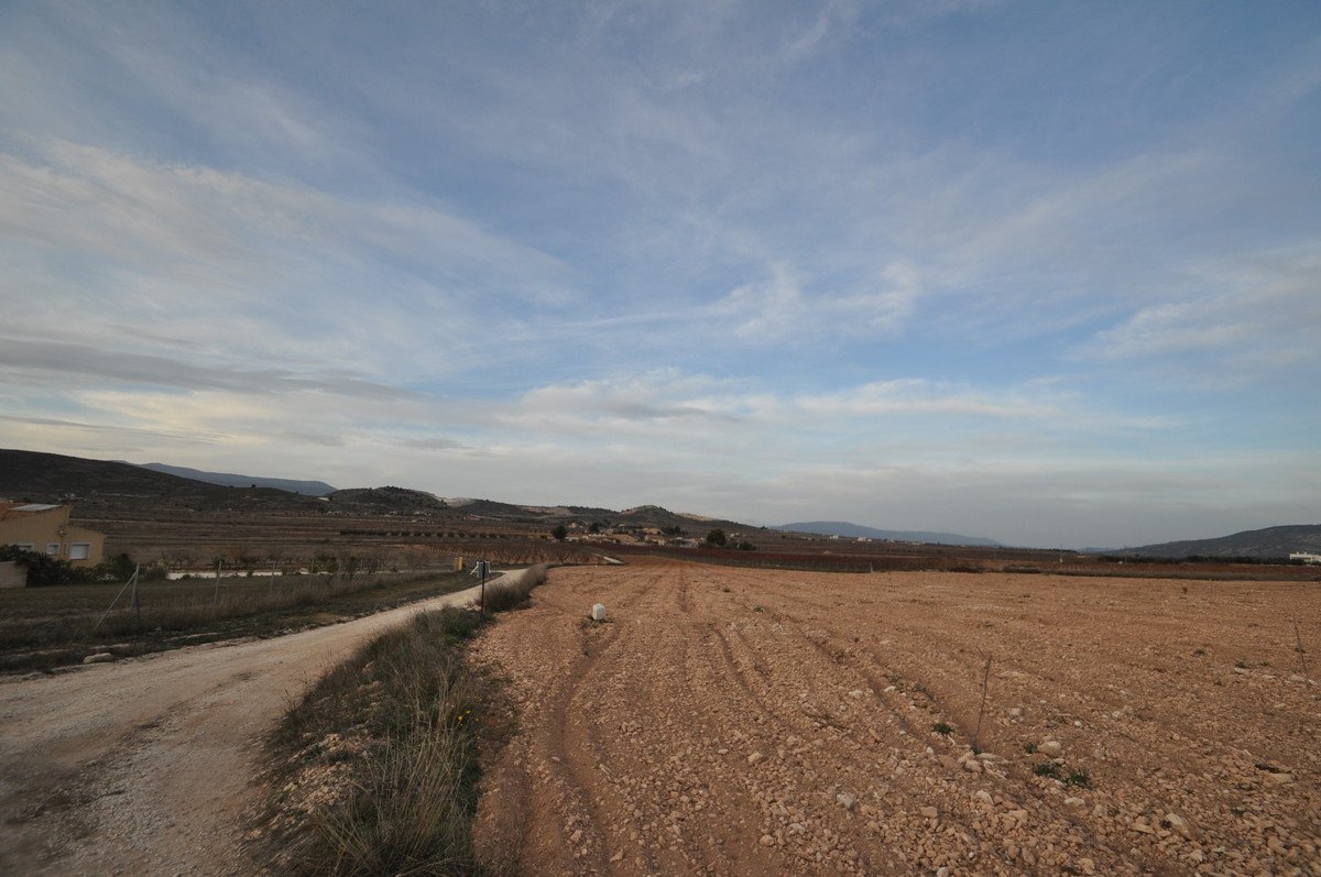 05 photo