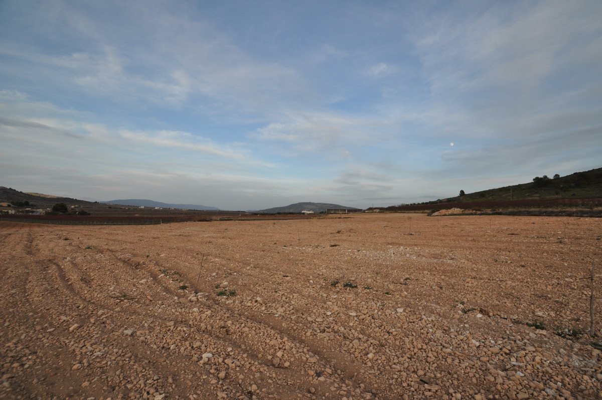 06 photo