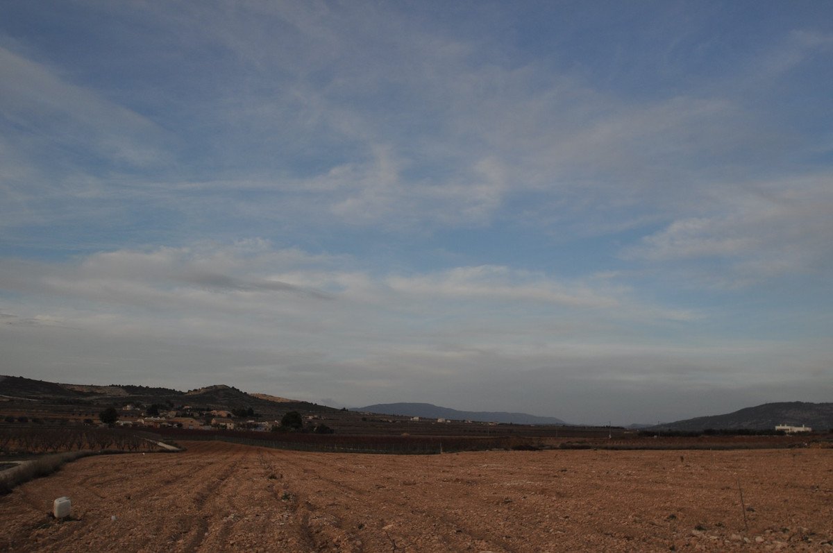 07 photo
