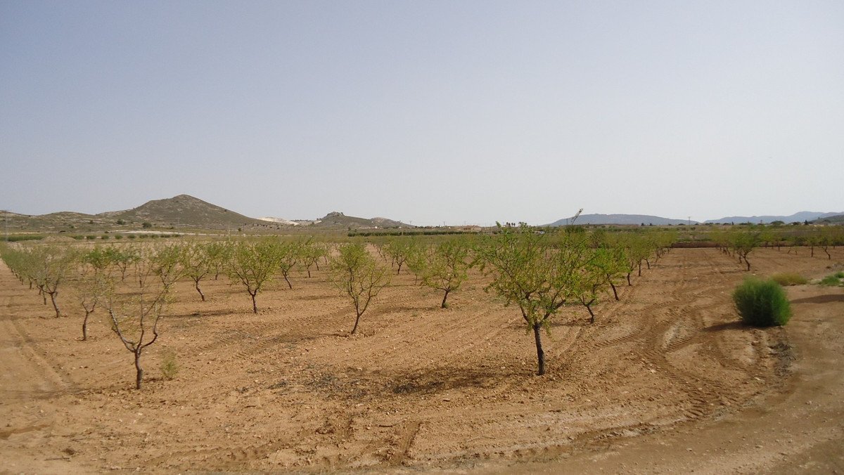 05 photo