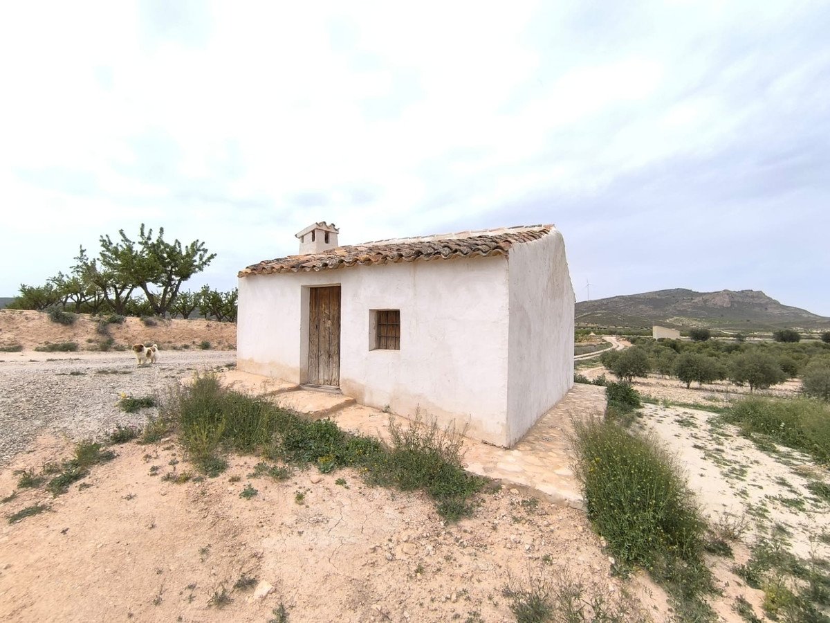 2 Bed Land in Jumilla в Jumilla, 