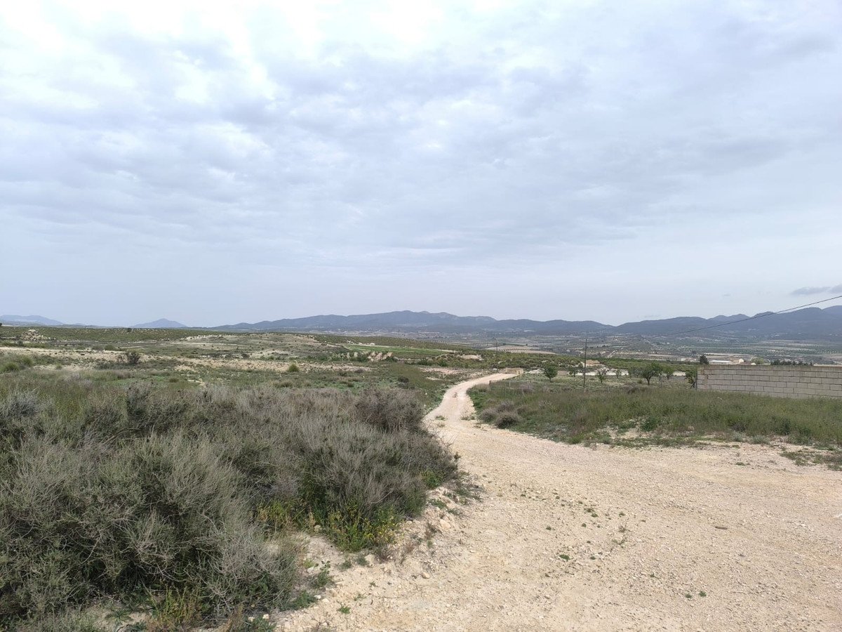 8 Bed Land with Ruin in Jumilla في Jumilla, 