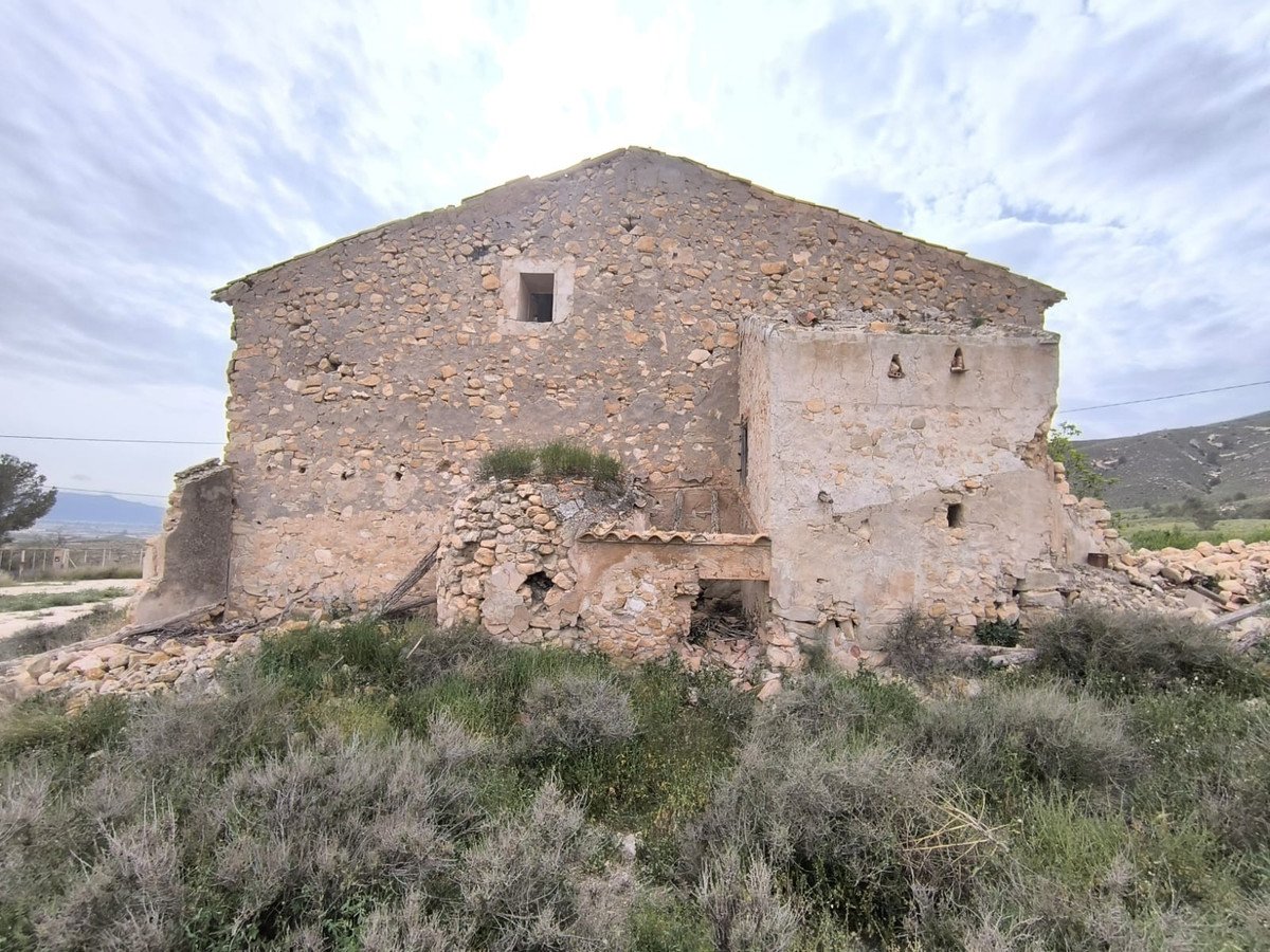 02 photo